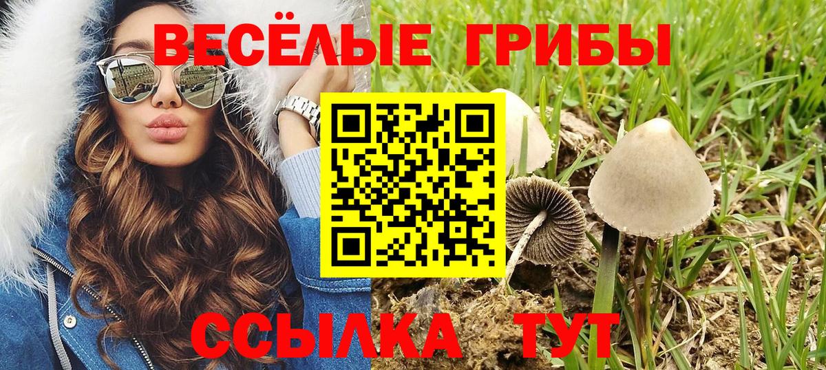 Усолье-Сибирское  Псилоцибиновые грибы MAGIC MUSHROOMS  Псилоцибиновые грибы ЛСД  Вход с VPN 